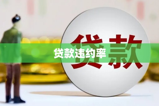 海淀贷款违约率