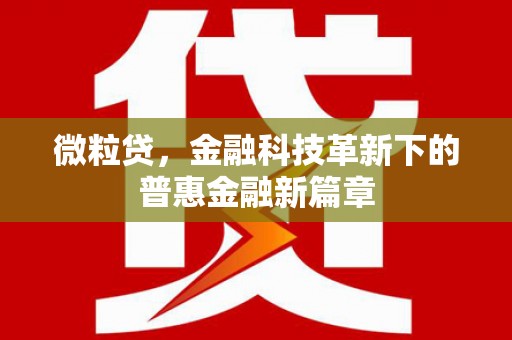海淀微粒贷，金融科技革新下的普惠金融新篇章