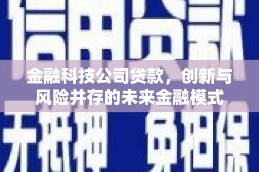 海淀金融科技公司贷款，创新与风险并存的未来金融模式