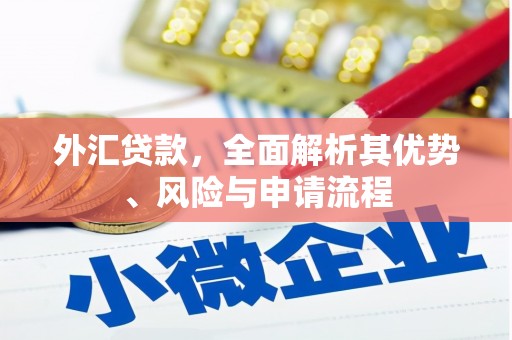 海淀外汇贷款，全面解析其优势、风险与申请流程