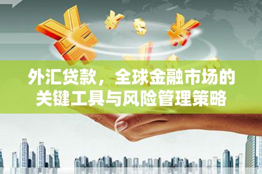 海淀外汇贷款，全球金融市场的关键工具与风险管理策略