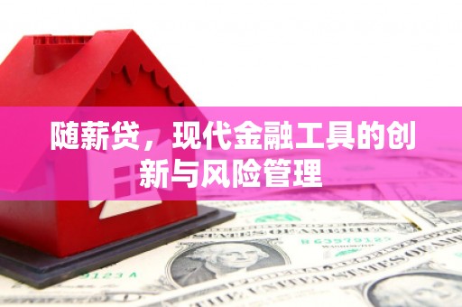 海淀随薪贷，现代金融工具的创新与风险管理