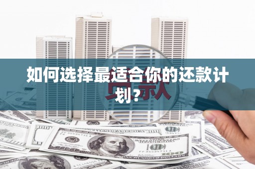 海淀如何选择最适合你的还款计划？