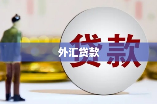 海淀外汇贷款