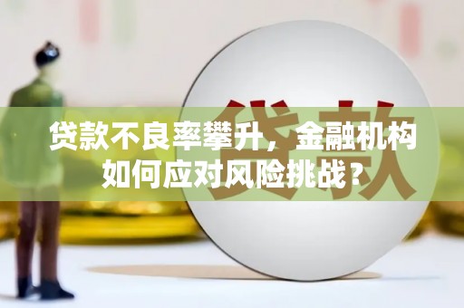 海淀贷款不良率攀升，金融机构如何应对风险挑战？