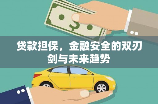 海淀贷款担保，金融安全的双刃剑与未来趋势