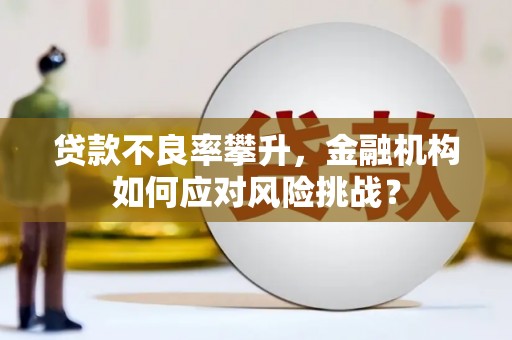 海淀贷款不良率攀升，金融机构如何应对风险挑战？