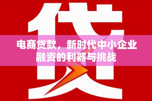 海淀电商贷款，新时代中小企业融资的利器与挑战
