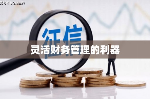 海淀灵活财务管理的利器