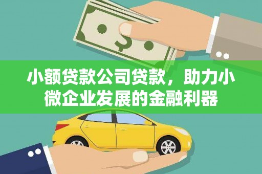 海淀小额贷款公司贷款，助力小微企业发展的金融利器