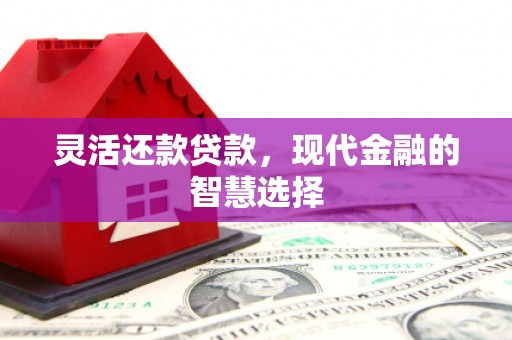 海淀灵活还款贷款，现代金融的智慧选择