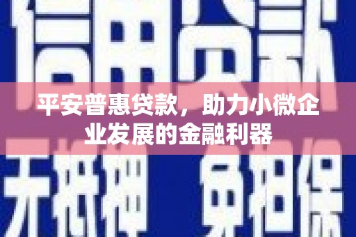 海淀平安普惠贷款，助力小微企业发展的金融利器