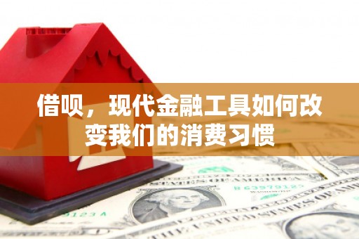 海淀借呗，现代金融工具如何改变我们的消费习惯