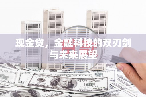 海淀现金贷，金融科技的双刃剑与未来展望