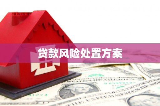 海淀贷款风险处置方案
