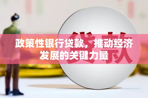 海淀政策性银行贷款，推动经济发展的关键力量