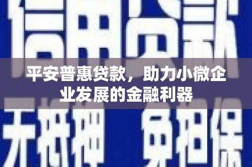 海淀平安普惠贷款，助力小微企业发展的金融利器