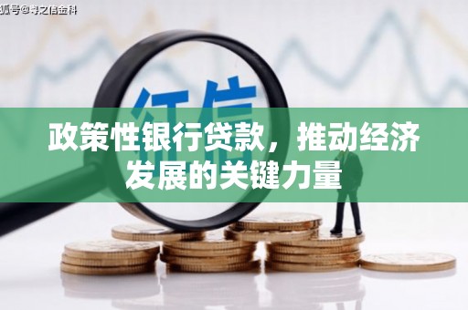 海淀政策性银行贷款，推动经济发展的关键力量