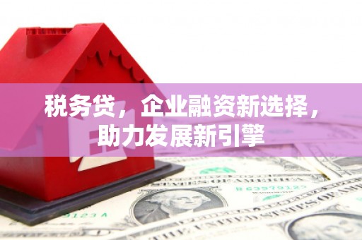 海淀税务贷，企业融资新选择，助力发展新引擎