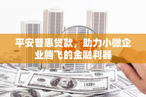 海淀平安普惠贷款，助力小微企业腾飞的金融利器