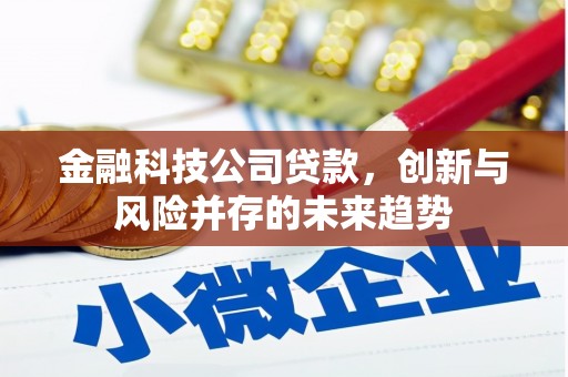 海淀金融科技公司贷款，创新与风险并存的未来趋势