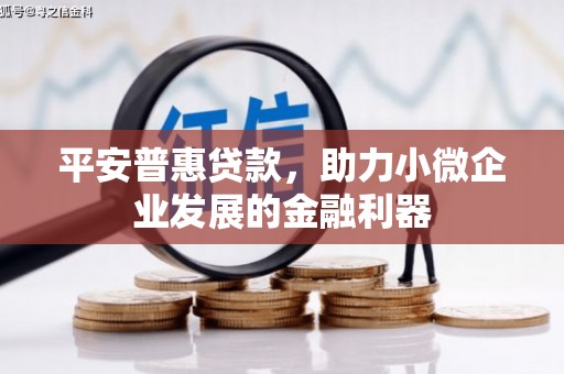 海淀平安普惠贷款，助力小微企业发展的金融利器
