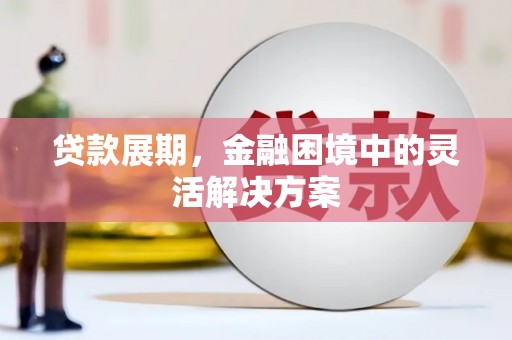 海淀贷款展期，金融困境中的灵活解决方案