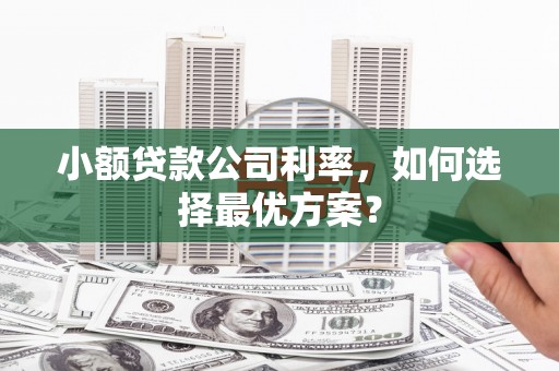 海淀小额贷款公司利率，如何选择最优方案？