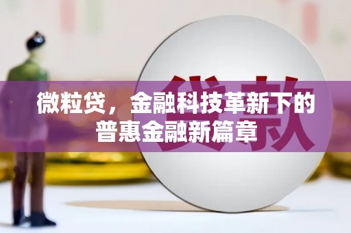 海淀微粒贷，金融科技革新下的普惠金融新篇章