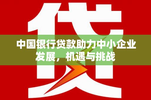 海淀中国银行贷款助力中小企业发展，机遇与挑战