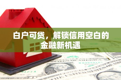 海淀白户可贷，解锁信用空白的金融新机遇