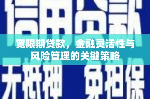 海淀宽限期贷款，金融灵活性与风险管理的关键策略