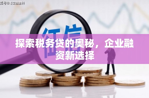 海淀探索税务贷的奥秘，企业融资新选择