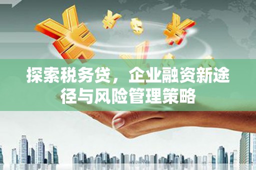 海淀探索税务贷，企业融资新途径与风险管理策略