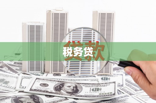 海淀税务贷