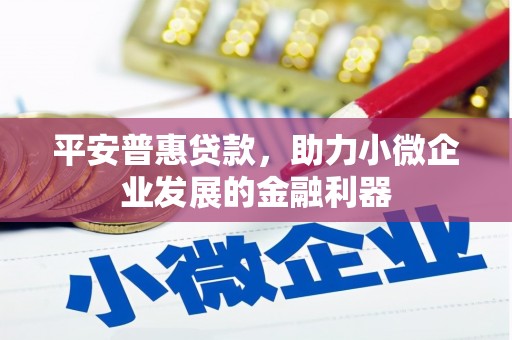 海淀平安普惠贷款，助力小微企业发展的金融利器