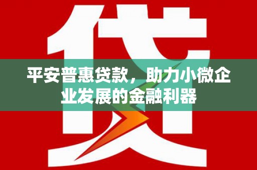 海淀平安普惠贷款，助力小微企业发展的金融利器