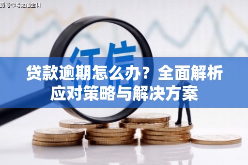 海淀贷款逾期怎么办？全面解析应对策略与解决方案