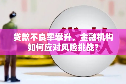 海淀贷款不良率攀升，金融机构如何应对风险挑战？