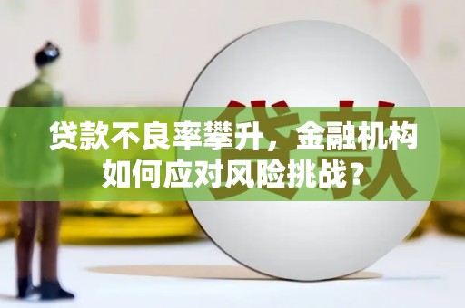 海淀贷款不良率攀升，金融机构如何应对风险挑战？