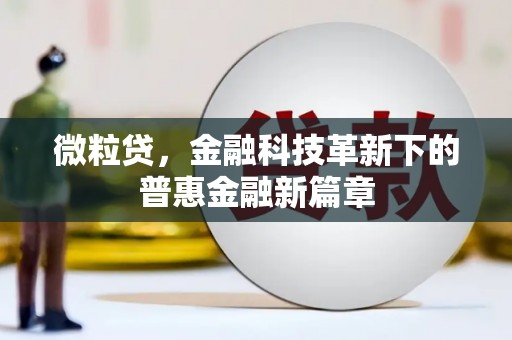 海淀微粒贷，金融科技革新下的普惠金融新篇章