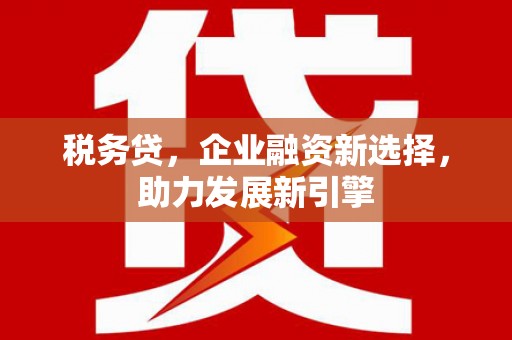 海淀税务贷，企业融资新选择，助力发展新引擎