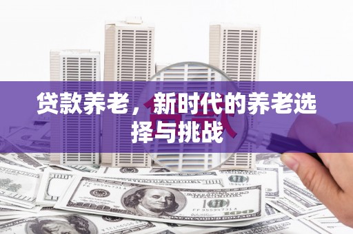 海淀贷款养老，新时代的养老选择与挑战