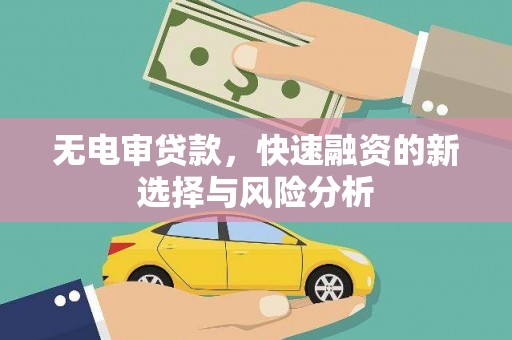 海淀无电审贷款，快速融资的新选择与风险分析