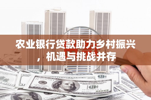 海淀农业银行贷款助力乡村振兴，机遇与挑战并存