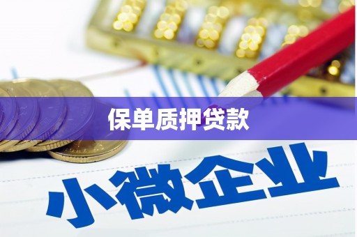 海淀保单质押贷款