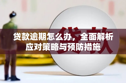 海淀贷款逾期怎么办，全面解析应对策略与预防措施