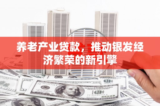 海淀养老产业贷款，推动银发经济繁荣的新引擎