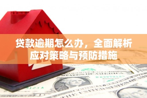 海淀贷款逾期怎么办，全面解析应对策略与预防措施