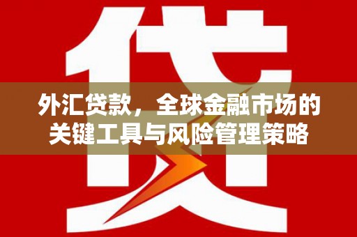 海淀外汇贷款，全球金融市场的关键工具与风险管理策略